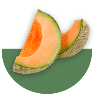 cantaloupe-image
