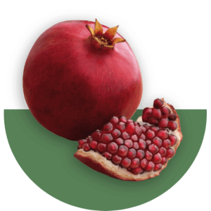 pomegranate-image